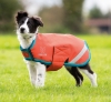 Shires 'Digby & Fox' Waterproof Dog Coat
